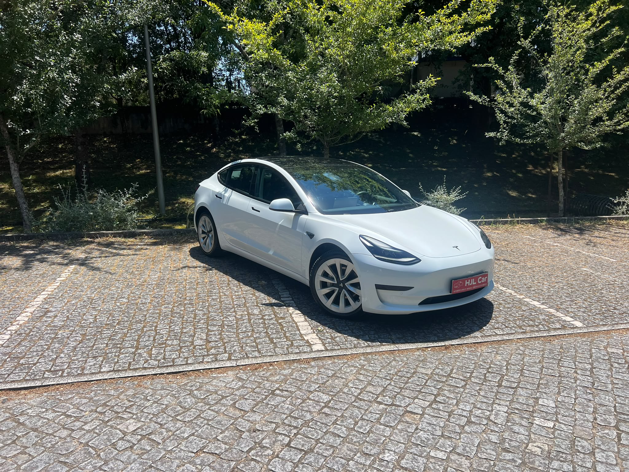 TESLA MODEL 3 STANDARD